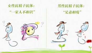 �����ӿ�������