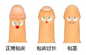 �������ҽԺ ��Ƥ����������